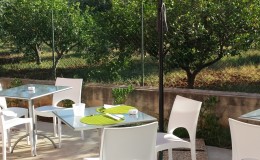 Colazione-in-giardino